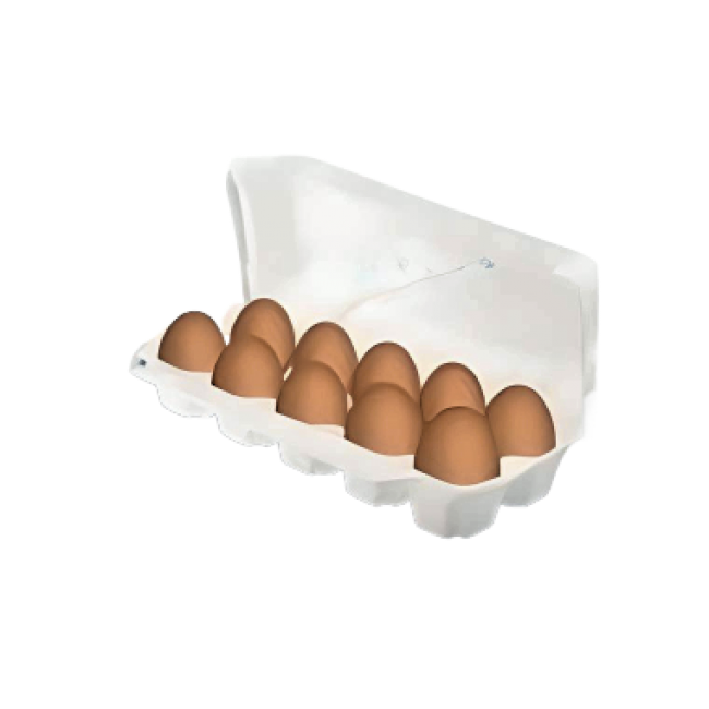 Яичный бокс на 10 яиц